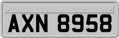 AXN8958