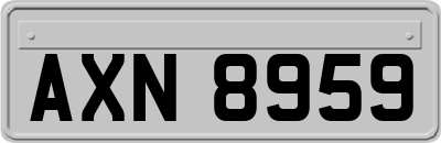 AXN8959