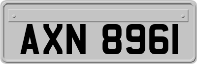 AXN8961