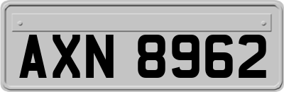 AXN8962