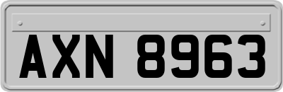 AXN8963