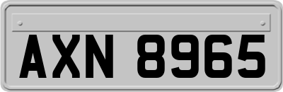 AXN8965