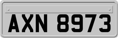 AXN8973