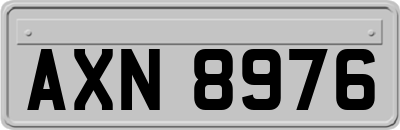AXN8976