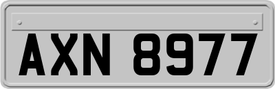 AXN8977