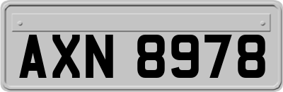 AXN8978