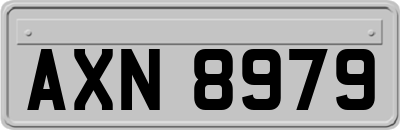 AXN8979