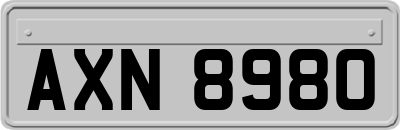AXN8980