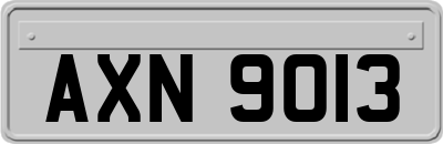 AXN9013