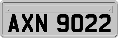 AXN9022