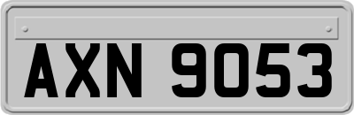 AXN9053
