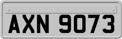 AXN9073