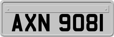 AXN9081