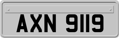 AXN9119