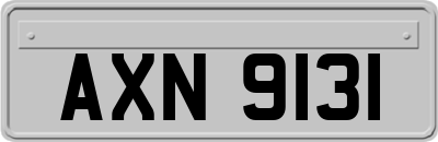 AXN9131