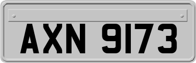 AXN9173