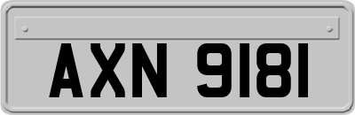 AXN9181