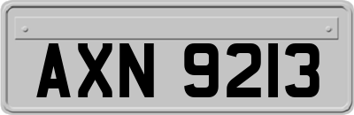 AXN9213