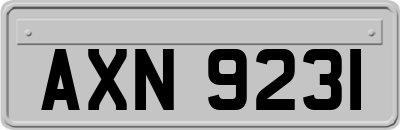 AXN9231