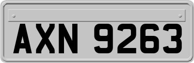 AXN9263