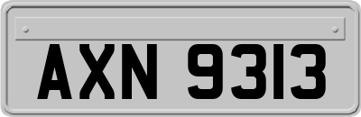 AXN9313