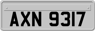 AXN9317