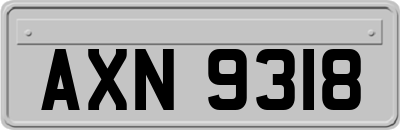 AXN9318