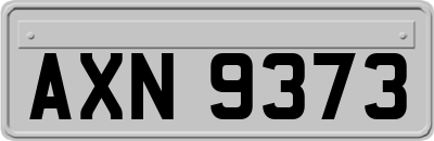 AXN9373
