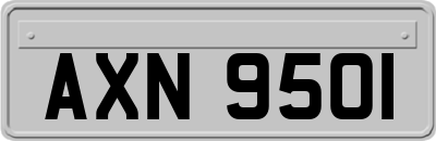 AXN9501