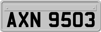 AXN9503