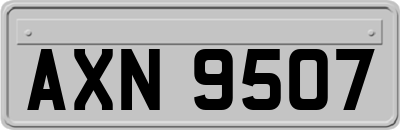 AXN9507