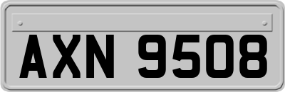 AXN9508