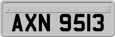 AXN9513