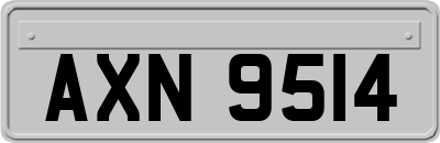 AXN9514
