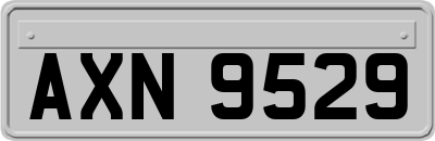 AXN9529