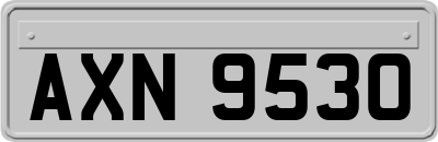 AXN9530