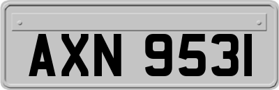 AXN9531