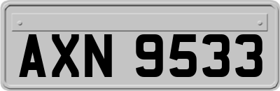 AXN9533