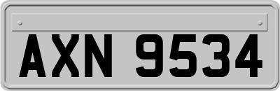 AXN9534
