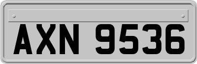 AXN9536