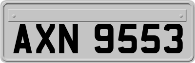 AXN9553