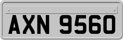 AXN9560