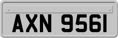 AXN9561