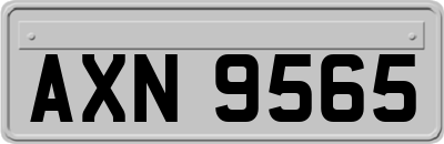 AXN9565