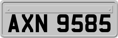 AXN9585
