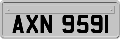 AXN9591
