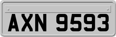 AXN9593