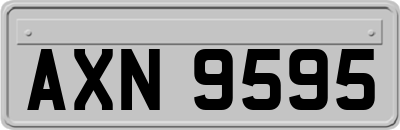 AXN9595