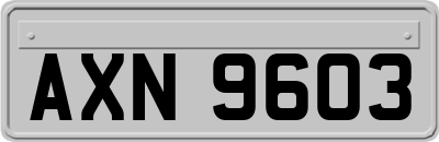 AXN9603