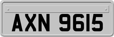 AXN9615